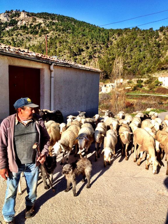 Casas Rurales Vegasierra Bogarra Eksteriør billede